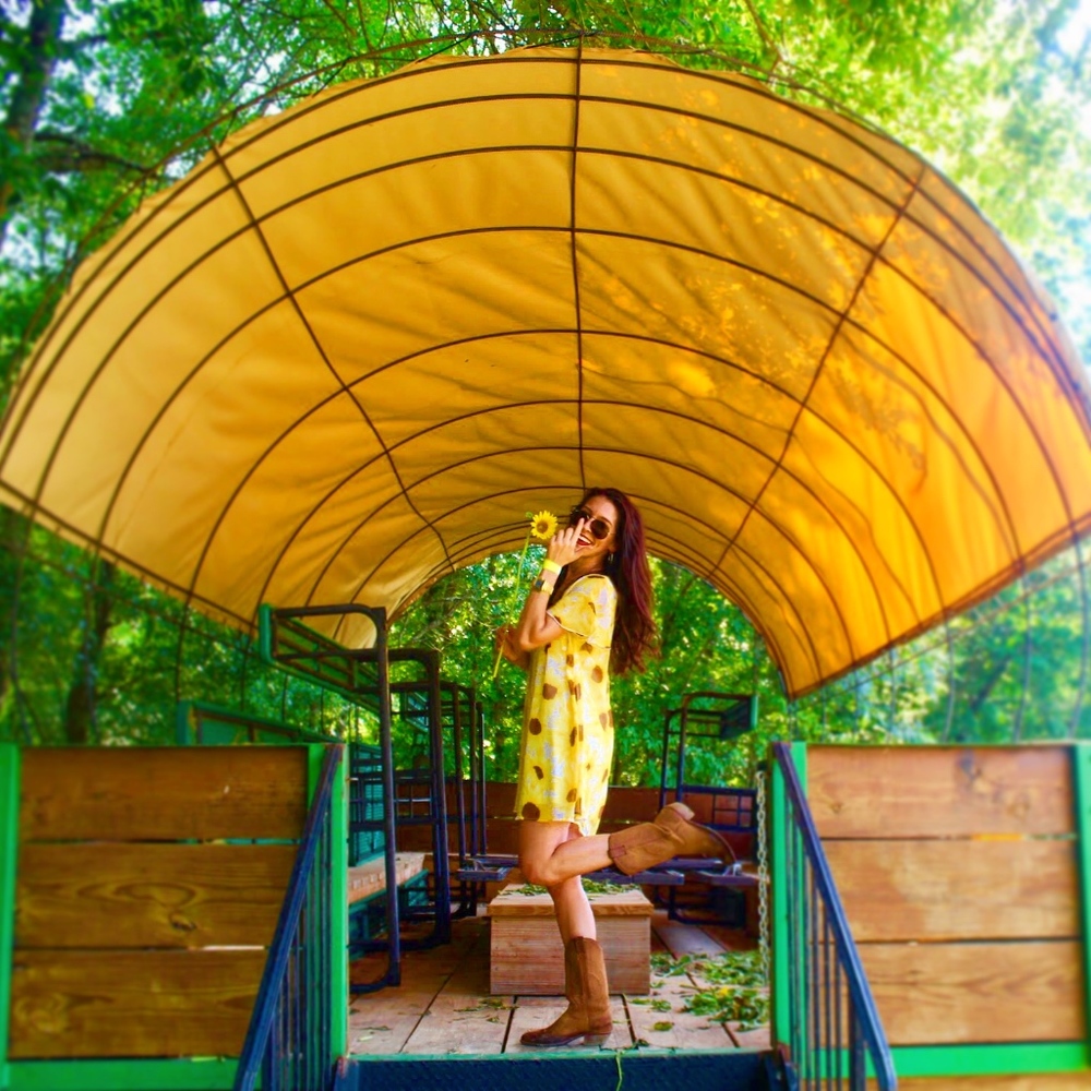 Meet your Posher, Rae - Picture 5 of 8